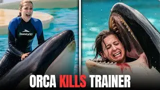 Tragic SeaWorld Orca Attack | The Story of Jessica and Captive Whales