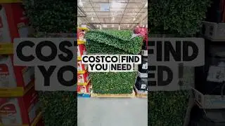 Costco Find! Boxwood Hedge Panel with Lights ✨ | Home & Outdoor Decor! #costcofinds #homedecor