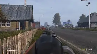 DayZ - Iron sights KING