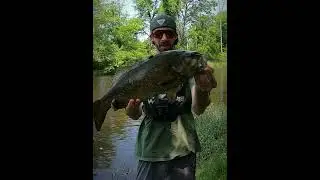 Bigger the bait, bigger the fish!  #megabass #magdraft #smallmouthbass #riverfishing