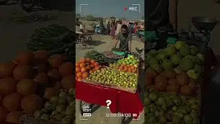 Mr pattlo tiktok live😱|Leader have huge level😱#shorts #fyp