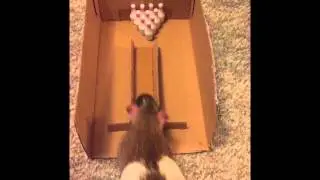 How to Teach a Rat to Bowl