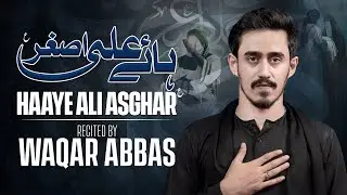 Nohay 2025 | Haye Haye Ali Asghar | Waqar Abbas Nohay 2025 | Janabe Ali Asghar Noha 2025