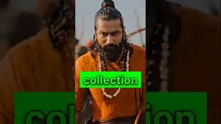 Chhaava 🦁 movie collection