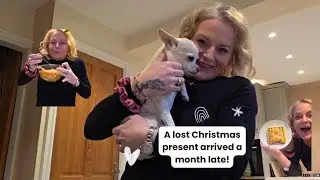 A lost Christmas present?! New Hair. Wholesome Vlog.