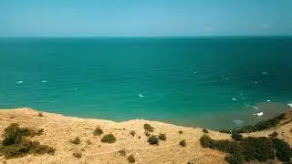 Wild Horses Bulgaria 2018