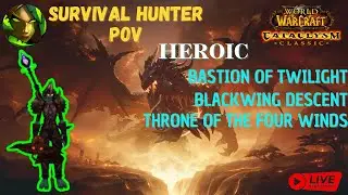 🔥Survival Hunter 25man 13/13 HEROIC CATA RAID WORLD TOUR 🔥 -  World of Warcraft Cataclysm Classic