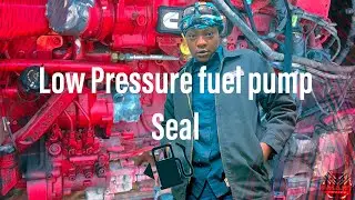 ISX15 Fuel Pump Seal **Common Issue