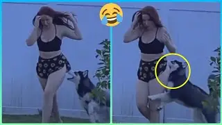 Best Funny Videos Compilation 🤣🤣🤣 #17