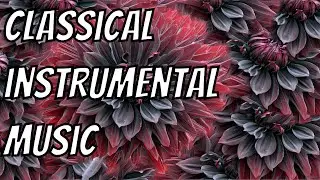 CLASSICAL INSTRUMENTAL MUSIC FOR REST AND RELAXATION