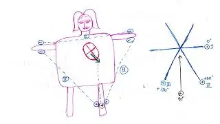 ECG 6 Unipolar Limb Leads