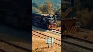 #legend Tag #shalimarexpress #train #indianrailways #publictransport #pakistanilegends #railfans