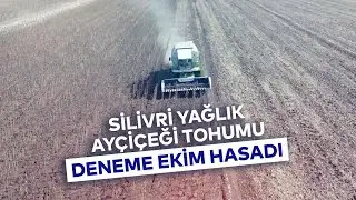 SİLİVRİ YAĞLIK AY&Ccedil;İ&Ccedil;EĞİ TOHUMU DENEME EKİM HASADI