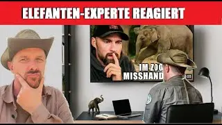 Zoos qu&auml;len Elefanten? Elefanten-Experte reagiert auf Video von Robert Marc Lehmann.