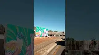 freight train @ Bagster Rd crossing, Salisbury North, South Australia