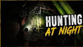 Hunting at night