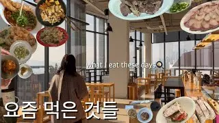 [직장인vlog] 요즘 내가 먹은 것들| 물망초, 더반 베를린, 창고형약국