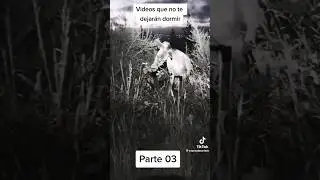Video que no te dejara dormir, Venado con el cuello rot&oacute; lo crees tu? #terror #paranormal #historia