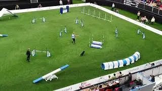 LAY 9th place Eli&scaron;ka Brabcova Large Agility AWC 2019