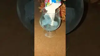 Crazy Dips Fizzy Drink #drinks #candies #fizzydrink #shorts