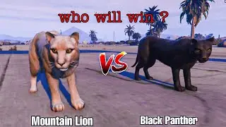 GTA 5 : Mountain Lion vs Black Panther | Who will Win ?