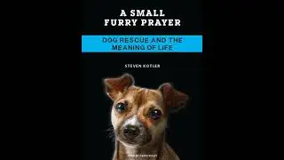 Small Furry Prayer: Dog Rescue and the Meaning of Life - Steven Kotler