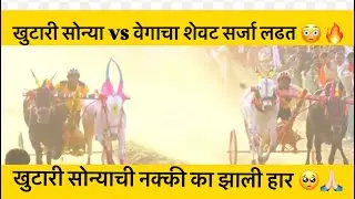 वेगाचा शेवट सर्जा VS खुटारी सोन्या बिनजोड लढत 😳🔥कोणी मारली बाजी? #viral#sarja#viralvideo