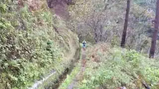 Madeira Levada Walks 