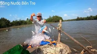Đi Thả Lưới Cá Đối Dính Đủ Thứ Cá Luôn - Sông Nước Bến Tre 