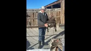 Cutting Grandpas Brand out using a 12 kW RMT KYSON Fiber Laser | Fiber Laser