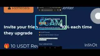 SCAM ALERT THIS IS NOT CATLY 💥💥📢📢📢📢❌❌