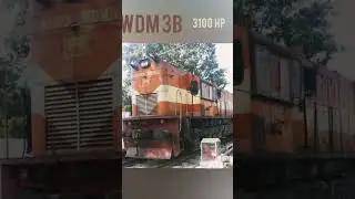 WDM