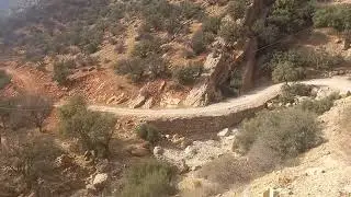 منطقة ألما . تربية النحل و إنتاج عسل الخروب و عسل الزكوم.
