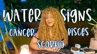 WATER SIGNS 💧 | Valentines Day Tarot | Cancer Pisces Scorpio | Astrology + Tarot Love Messages