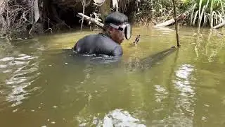 PART 1, IKAN SEMBUNYI DI SAWIT TUMBANG, MANAH IKAN SERUUUU.