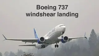 Boeing 737 max windshear landing at Miami international | RFS