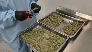 Stable Grow Facility 2025