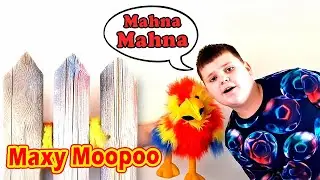 The Muppets 