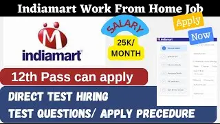 IndiaMART Work From Home Job | How to Apply + Test Questions Explained!