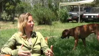 How Wildlife Biologist Dream Job Becomes Reality - Alayne Cotterill