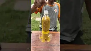 Make chicken feeder with plastic bottle very useful 100%
