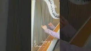Canon in D - Mikel 38 Pro Lever Harps  #harp #music #harps #harpplayer #leverharp #canon