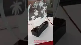 Customized Acrylic Trophy   #company Brand Merchandise