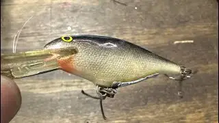 How To &ldquo;Burn&rdquo; A Shad Rap For Early Summer Bass&hellip;