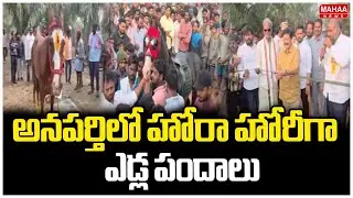 అనపర్తిలో హోరా హోరీగా ఎడ్ల పందాలు | Sankranti Festival | Bull Race Competition | Mahaa News