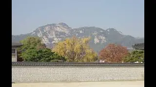 Min Kyung-ok, Jeong Hye-wook Belle and Sebastian (remake) 1981(민경옥,정혜욱 용감한 죠리(번안곡)