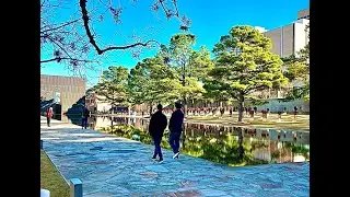 Oklahoma City National Memorial Park Remembering the Murrah Bldg Bombing Victims April 19, 1995