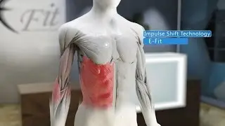 E Fit - Bemutat&oacute; film