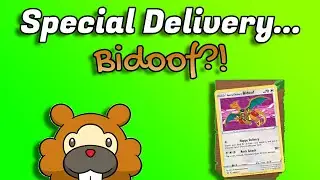 Pok&eacute;mon Special Delivery&hellip; Bidoof?!