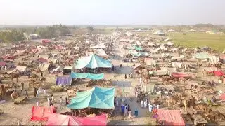 South asia largest camel market in Pakistan || Mela anayat shah || EP: 2